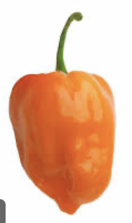 🌶